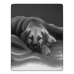 Biederlack Plaid Young & Fancy Barry - Tissu - Noir / Blanc