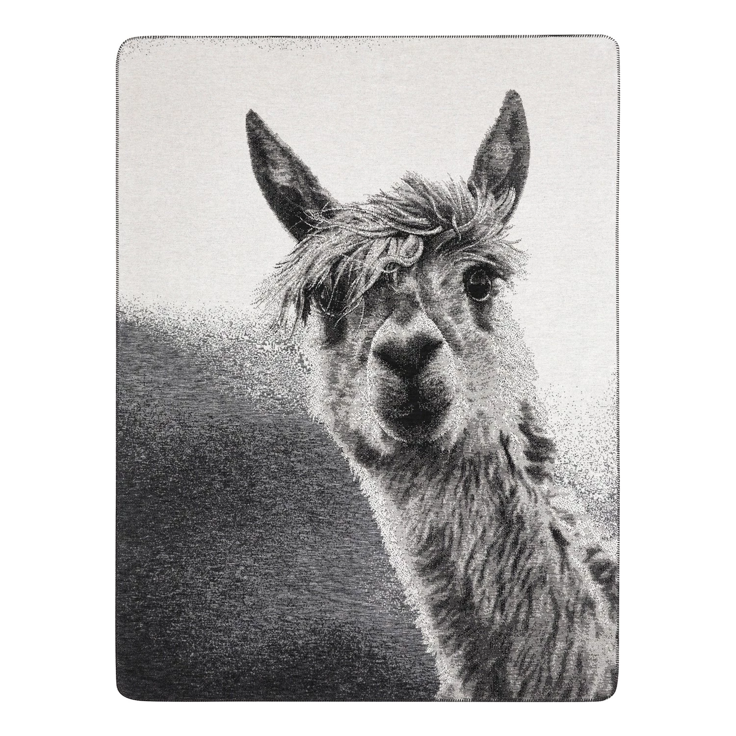 Biederlack Plaid Animal Love Pako - Tissu mélangé - Anthracite 3 Biederlack Plaid Animal Love Pako - Tissu mélangé - Anthracite