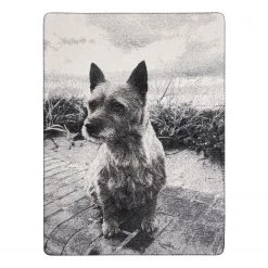 Biederlack Plaid Animal Love Pie - Tissu mélangé - Anthracite