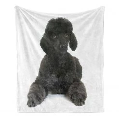 Twentyfour Plaid Caniche - Polyester - Gris foncé / Blanc - 175 x 230 cm -France Couvertures Soldes Boutique 1000358760 220621 030 DETAILS P000000001000358760