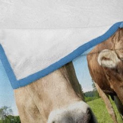 Twentyfour Plaid Ferme - Polyester - Vert pomme / Brun - 125 x 175 cm 13 Twentyfour Plaid Ferme - Polyester - Vert pomme / Brun - 125 x 175 cm -France Couvertures Soldes Boutique 1000358822 220621 040 DETAILS P000000001000358822