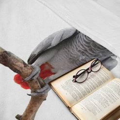 Twentyfour Plaid Grau - Polyester - Multicolore - 125 x 175 cm -France Couvertures Soldes Boutique 1000358828 220621 022 MOOD DETAILS P000000001000358828 mood