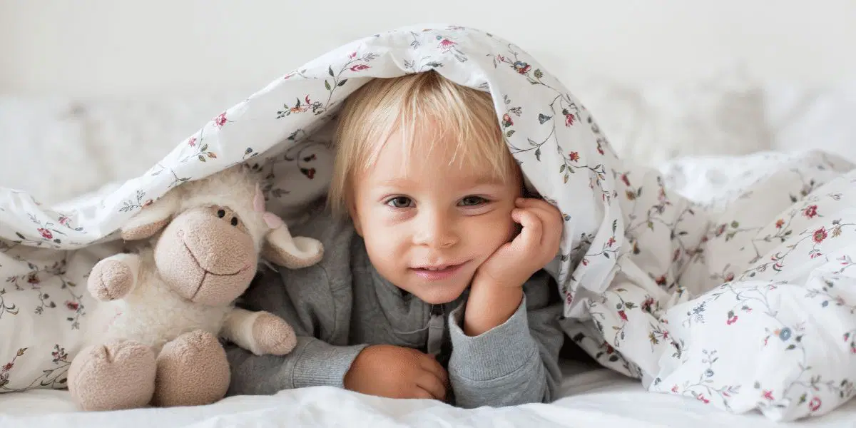 France Couvertures Soldes Boutique -France Couvertures Soldes Boutique 2